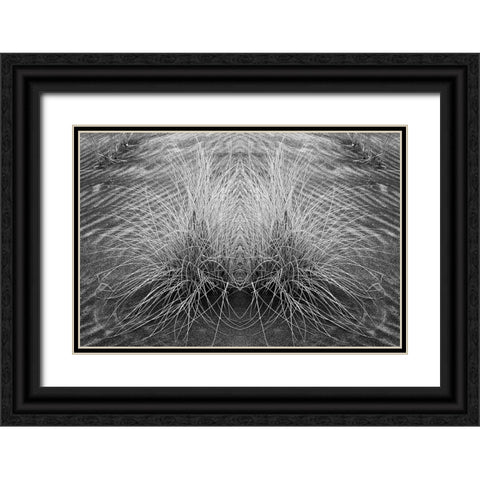 Grass pattern reflected and flipped-Bandon-Oregon Black Ornate Wood Framed Art Print with Double Matting by Jones, Adam