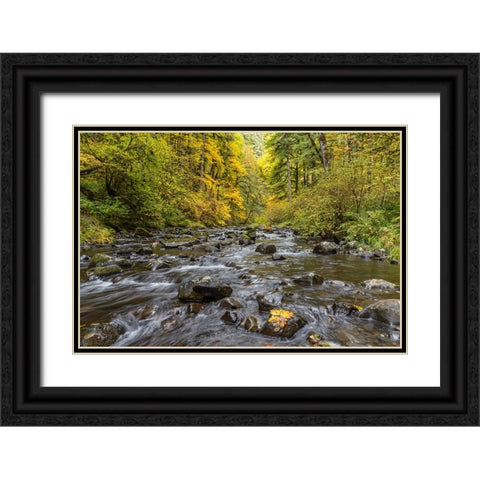USA-Oregon-Silver Falls State Park River rapids and forest in autumn Black Ornate Wood Framed Art Print with Double Matting by Jaynes Gallery