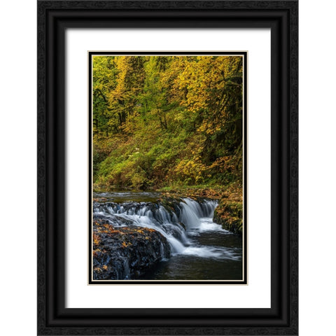 USA-Oregon-Silver Falls State Park Waterfalls and forest in autumn Black Ornate Wood Framed Art Print with Double Matting by Jaynes Gallery