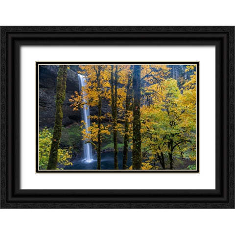 USA-Oregon-Silver Falls State Park Tall waterfall and forest in autumn Black Ornate Wood Framed Art Print with Double Matting by Jaynes Gallery