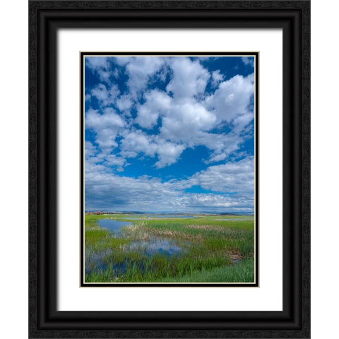 Malheur National Wildlife Refuge Black Ornate Wood Framed Art Print with Double Matting by Sederquist, Betty