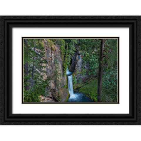 Toketee Falls runs over basalt columns in the Umpqua National Forest-Oregon-USA Black Ornate Wood Framed Art Print with Double Matting by Haney, Chuck