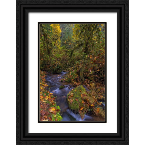 Munson Creek Falls State Natural Site in autumn near Tillamook-Oregon-USA Black Ornate Wood Framed Art Print with Double Matting by Haney, Chuck