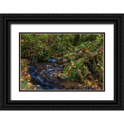 Munson Creek Falls State Natural Site in autumn near Tillamook-Oregon-USA Black Ornate Wood Framed Art Print with Double Matting by Haney, Chuck