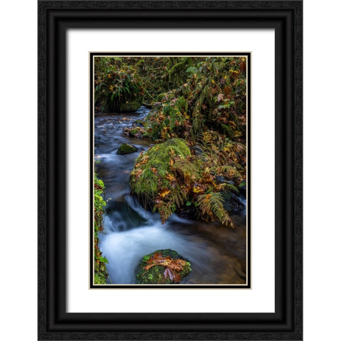 Munson Creek Falls State Natural Site in autumn near Tillamook-Oregon-USA Black Ornate Wood Framed Art Print with Double Matting by Haney, Chuck
