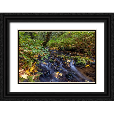 Munson Creek Falls State Natural Site in autumn near Tillamook-Oregon-USA Black Ornate Wood Framed Art Print with Double Matting by Haney, Chuck