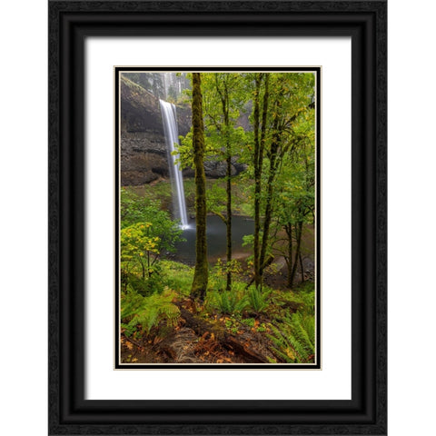 South Falls at Silver Falls State Park near Sublimity-Oregon-USA Black Ornate Wood Framed Art Print with Double Matting by Haney, Chuck