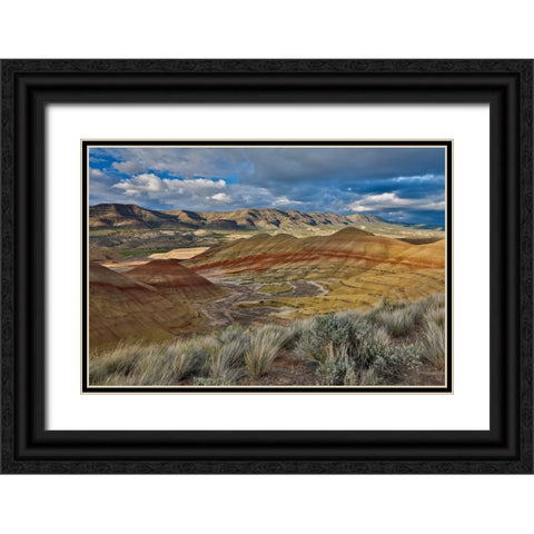 USA- Oregon. John Day Fossil Beds National Monument badlands landscape. Black Ornate Wood Framed Art Print with Double Matting by Gulin, Darrell