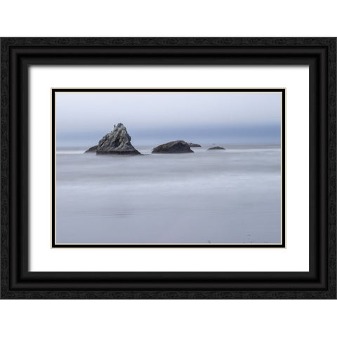 Usa-Oregon-Bandon Bandon Beach Black Ornate Wood Framed Art Print with Double Matting by Looney, Hollice