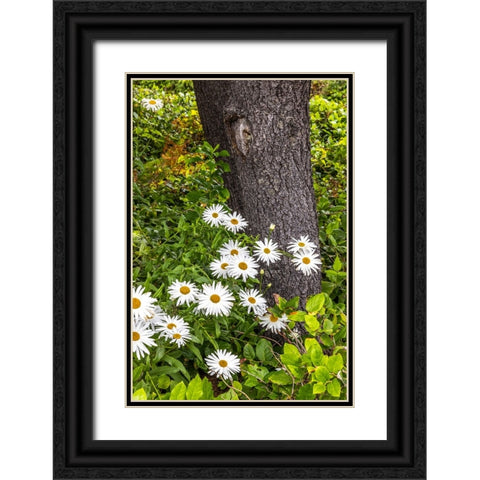 Usa-Oregon-Yachats Plantings Black Ornate Wood Framed Art Print with Double Matting by Looney, Hollice