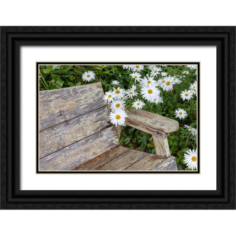 Usa-Oregon-Yachats Plantings Black Ornate Wood Framed Art Print with Double Matting by Looney, Hollice