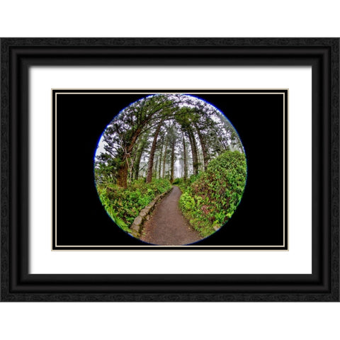 Usa-Oregon-Yachats Cape Perpetua Black Ornate Wood Framed Art Print with Double Matting by Looney, Hollice