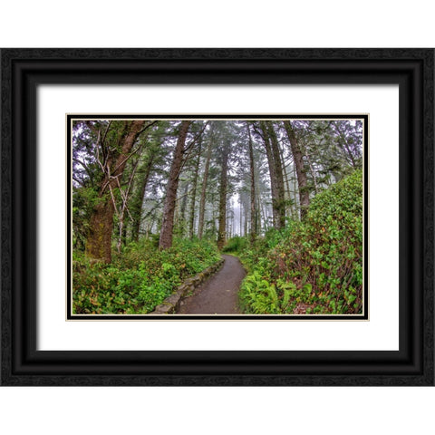 Usa-Oregon-Yachats Cape Perpetua Black Ornate Wood Framed Art Print with Double Matting by Looney, Hollice