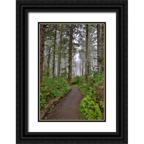 Usa-Oregon-Yachats Cape Perpetua Black Ornate Wood Framed Art Print with Double Matting by Looney, Hollice