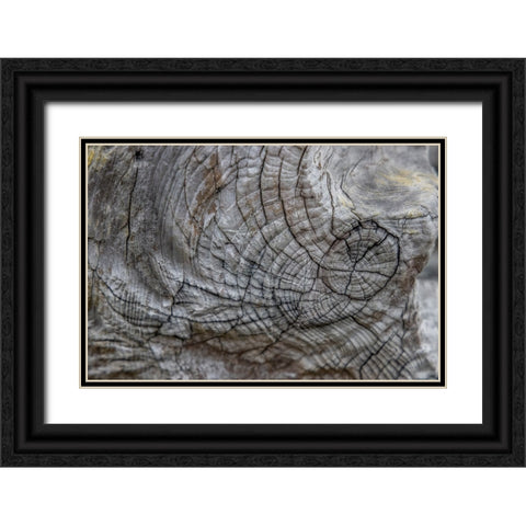Usa-Oregon-Bandon Bandon Beach-Closeup of Wood on the Beach Black Ornate Wood Framed Art Print with Double Matting by Looney, Hollice