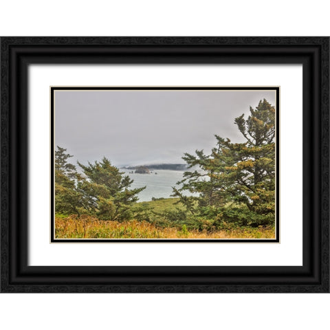 Usa-Oregon-Port Orford Cape Blanco Lighthouse-Coast Near Cape Blanco Lighthouse Black Ornate Wood Framed Art Print with Double Matting by Looney, Hollice