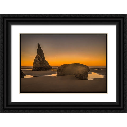 Bandon Beach-Oregon Black Ornate Wood Framed Art Print with Double Matting by Ford, John