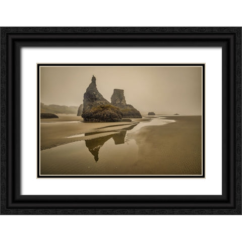 Bandon Beach-Oregon Black Ornate Wood Framed Art Print with Double Matting by Ford, John