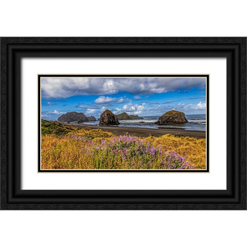 USA-Oregon-Cape Sebastian Black Ornate Wood Framed Art Print with Double Matting by Restuccia, Joe III