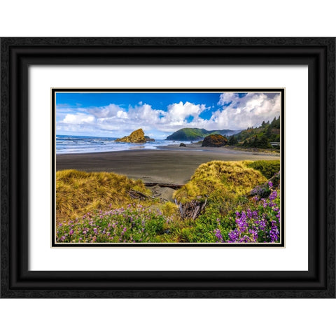 USA-Oregon-Cape Sebastian Black Ornate Wood Framed Art Print with Double Matting by Restuccia, Joe III