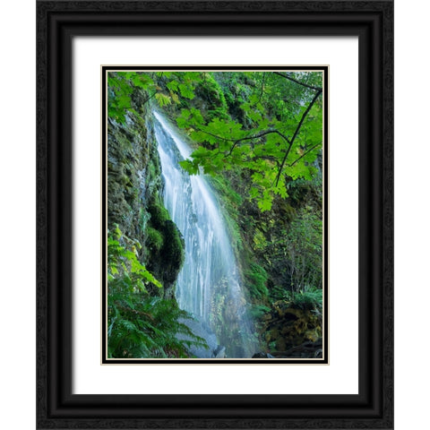 Oregon-Columbia River Gorge National Scenic Area-Lancaster Falls Black Ornate Wood Framed Art Print with Double Matting by Wild, Jamie and Judy