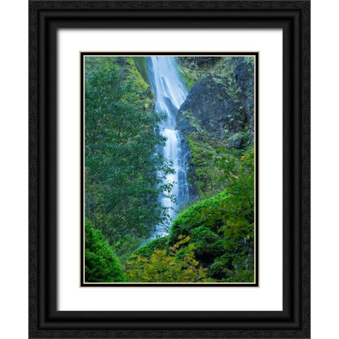 Oregon-Columbia River Gorge National Scenic Area-Starvation Creek Falls Black Ornate Wood Framed Art Print with Double Matting by Wild, Jamie and Judy
