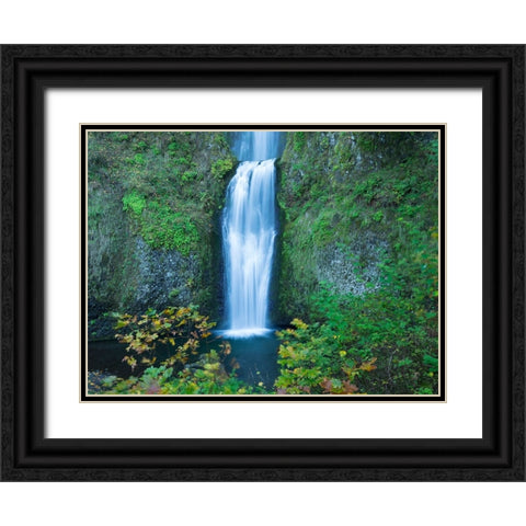 Oregon-Columbia River Gorge National Scenic Area-Multnomah Falls-lower Black Ornate Wood Framed Art Print with Double Matting by Wild, Jamie and Judy