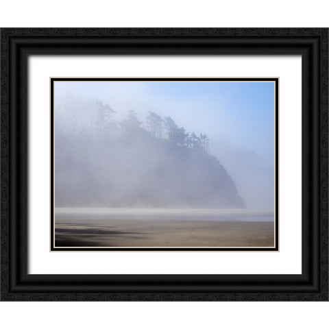 Oregon-Hug Point Morning fog Black Ornate Wood Framed Art Print with Double Matting by Wild, Jamie and Judy