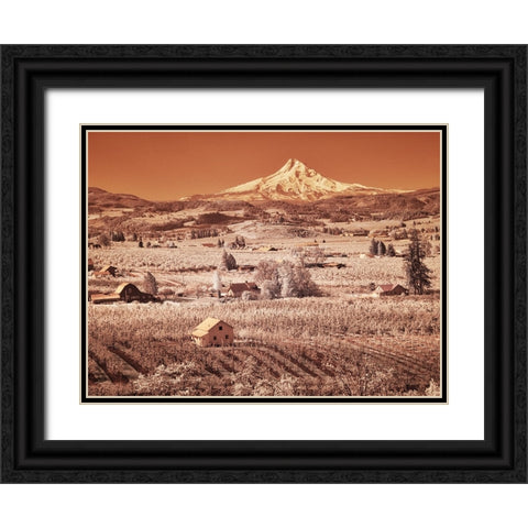 USA-Oregon-Columbia Gorge Infrared of spring orchards in bloom and Mount Hood Black Ornate Wood Framed Art Print with Double Matting by Eggers, Terry