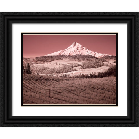 USA-Oregon-Columbia Gorge Infrared of spring orchards in bloom and Mount Hood Black Ornate Wood Framed Art Print with Double Matting by Eggers, Terry