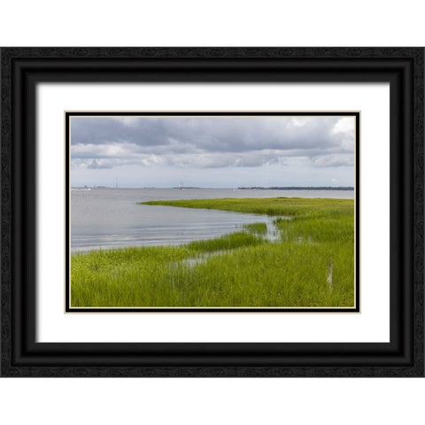 Usa-South Carolina-Charleston Black Ornate Wood Framed Art Print with Double Matting by Looney, Hollice