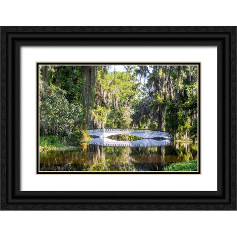 USA- South Carolina- Charleston. Magnolia Plantation Black Ornate Wood Framed Art Print with Double Matting by Looney, Hollice