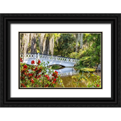 USA- South Carolina- Charleston. Magnolia Plantation Black Ornate Wood Framed Art Print with Double Matting by Looney, Hollice