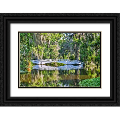USA- South Carolina- Charleston. Magnolia Plantation Black Ornate Wood Framed Art Print with Double Matting by Looney, Hollice