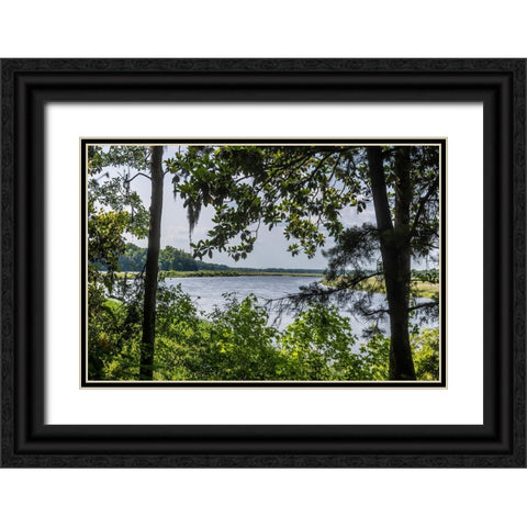 USA- South Carolina- Charleston. Middleton Plantation Black Ornate Wood Framed Art Print with Double Matting by Looney, Hollice