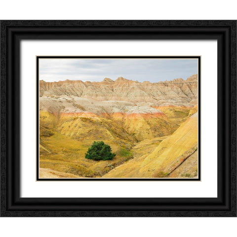 South Dakota- Badlands National Park. Badlands rock formations- Yellow Mounds Black Ornate Wood Framed Art Print with Double Matting by Wild, Jamie and Judy