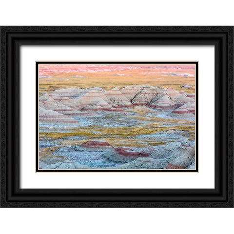 A circular grouping of hoodoo mounds-interspersed with yellow grasses-pinks and red mixed in Black Ornate Wood Framed Art Print with Double Matting by Haddad, Sheila