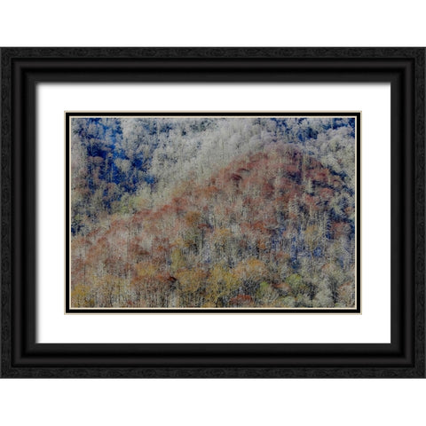 USA- Tennessee. Great Smoky Mountains National Park with late springtime snow Black Ornate Wood Framed Art Print with Double Matting by Gulin, Darrell