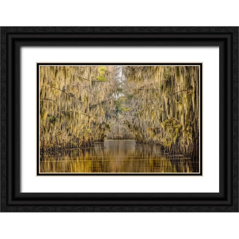 Bald cypress trees draped in Spanish moss in autumn lining Government Ditch Caddo Lake Black Ornate Wood Framed Art Print with Double Matting by Jones, Adam