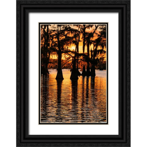 Bald cypress trees silhouetted at sunset Caddo Lake-Uncertain-Texas Black Ornate Wood Framed Art Print with Double Matting by Jones, Adam