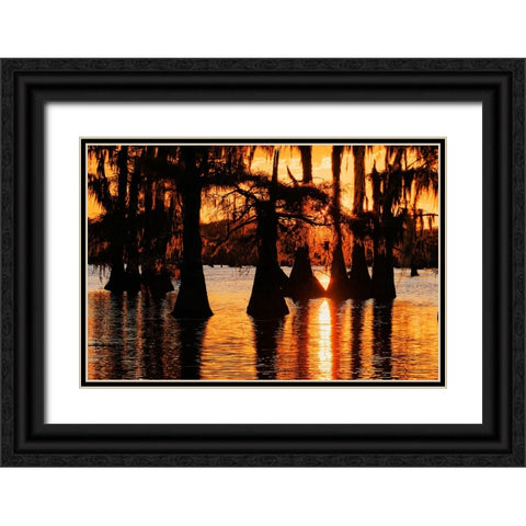 Bald cypress trees silhouetted at sunset Caddo Lake-Uncertain-Texas Black Ornate Wood Framed Art Print with Double Matting by Jones, Adam