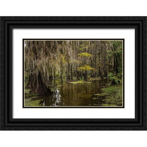 Cypress trees and Spanish moss lining shoreline of Caddo Lake-Uncertain-Texas Black Ornate Wood Framed Art Print with Double Matting by Jones, Adam