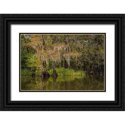 Cypress trees and Spanish moss lining shoreline of Caddo Lake-Uncertain-Texas Black Ornate Wood Framed Art Print with Double Matting by Jones, Adam