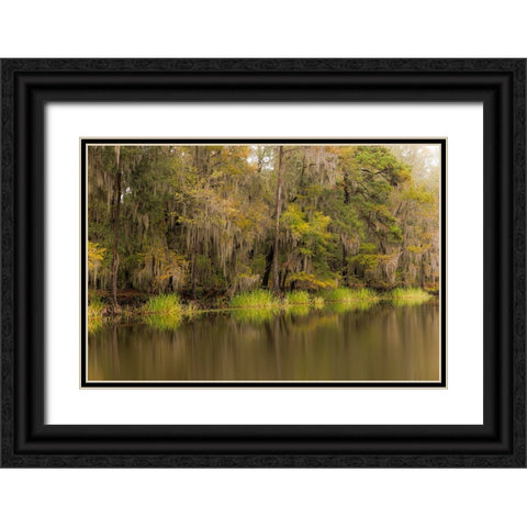 Cypress trees and Spanish moss lining shoreline of Caddo Lake-Uncertain-Texas Black Ornate Wood Framed Art Print with Double Matting by Jones, Adam