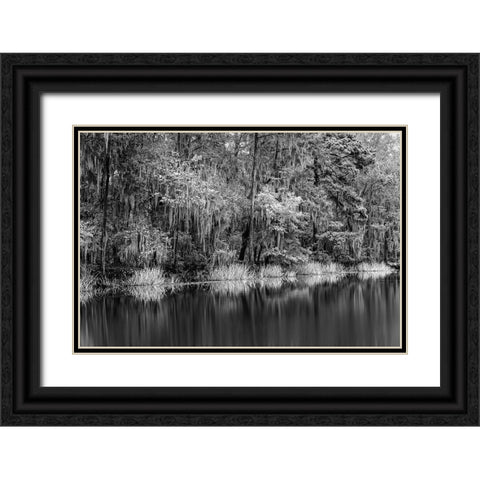 Cypress trees and Spanish moss lining shoreline of Caddo Lake-Uncertain-Texas Black Ornate Wood Framed Art Print with Double Matting by Jones, Adam