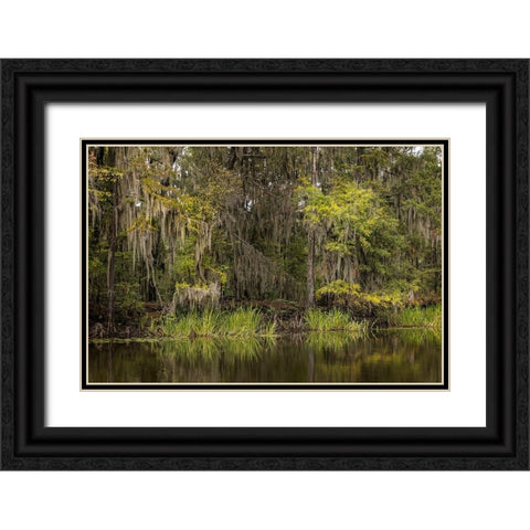 Cypress trees and Spanish moss lining shoreline of Caddo Lake-Uncertain-Texas Black Ornate Wood Framed Art Print with Double Matting by Jones, Adam