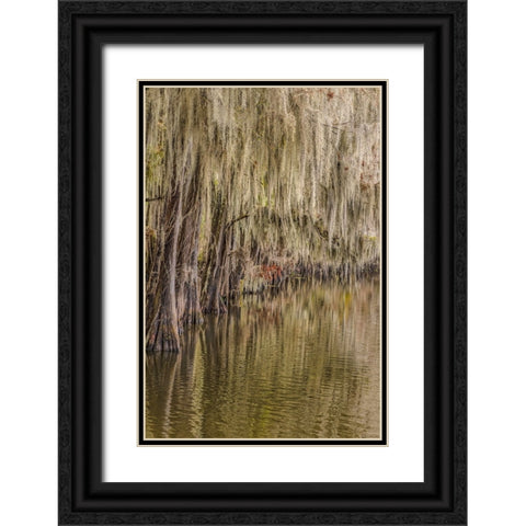 Cypress trees and Spanish moss lining shoreline of Caddo Lake-Uncertain-Texas Black Ornate Wood Framed Art Print with Double Matting by Jones, Adam