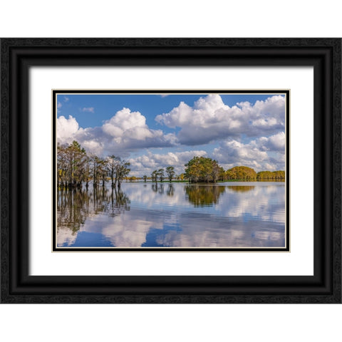 Bald cypress trees in autumn reflected on lake Caddo Lake-Uncertain-Texas Black Ornate Wood Framed Art Print with Double Matting by Jones, Adam