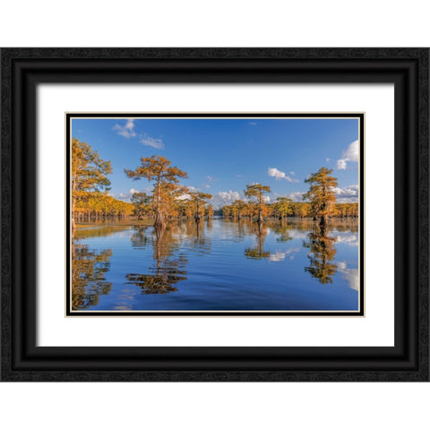 Bald cypress trees in autumn reflected on lake Caddo Lake-Uncertain-Texas Black Ornate Wood Framed Art Print with Double Matting by Jones, Adam
