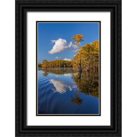 Bald cypress trees in autumn reflected on lake Caddo Lake-Uncertain-Texas Black Ornate Wood Framed Art Print with Double Matting by Jones, Adam